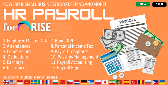 [Download] HR Payroll plugin for RISE CRM 