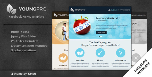 Download Youngpro HTML Facebook Template Nulled 
