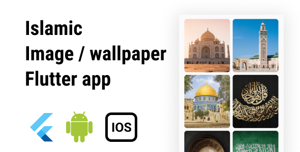 [Download] Picdale: Image or wallpaper app with admin app and server side code : flutter android ios 