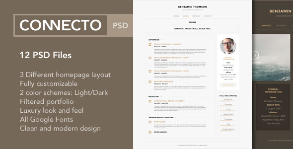 Download Connecto – Modern vCard Resume PSD Template Nulled 