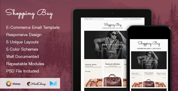 Download Shopping Bag – Responsive Ecommerce Email Template Nulled 
