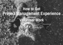 project management experience