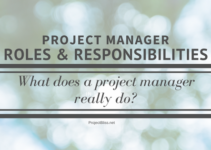 project manager roles and responsibilities
