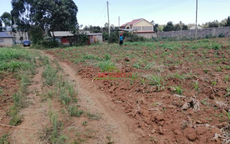 Prime Residential Plot For Sale In Kikuyu, Lusingetti