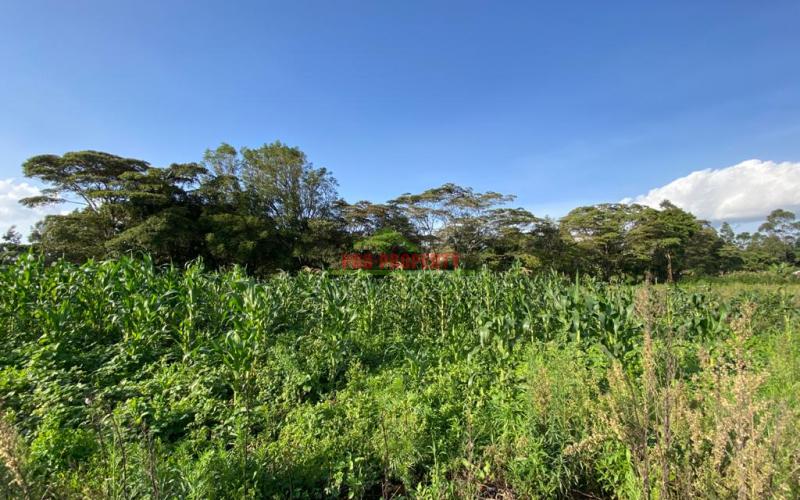 Prime Residential Plot For Sale In Kikuyu Kamangu.