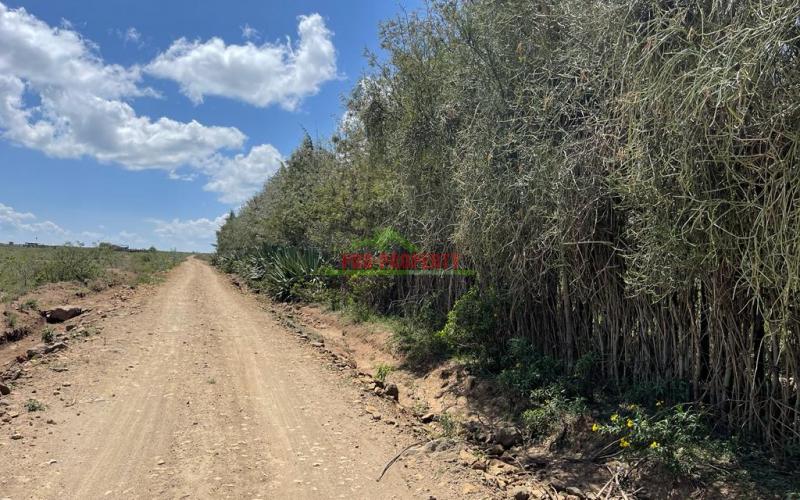 50 By 100 Ft Plots For Sale In Gilgil Naivasha