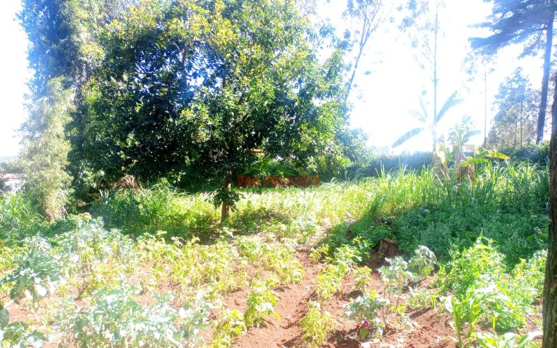 Commercial Land For Sale In Thogoto Kikuyu Town