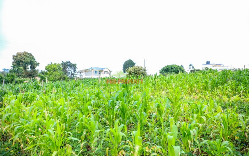 Prime Residential plot for sale in Kikuyu,Kamangu