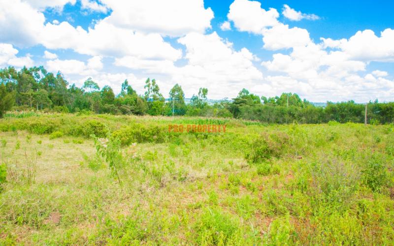 Prime Residential Plots For Sale In Kikuyu, Lusigetti.