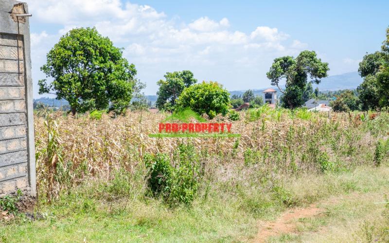 Prime Plots For Sale In Kamangu, Kikuyu