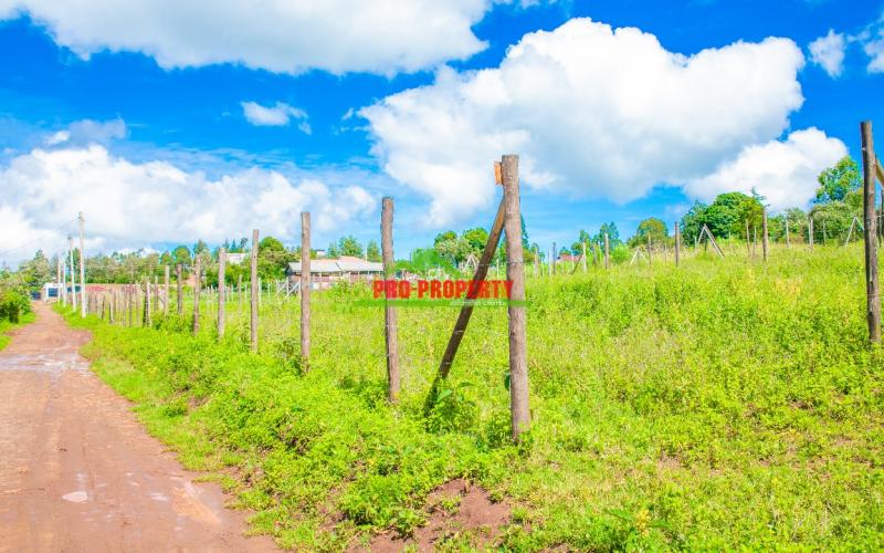 Residential Plots For Sale In Lusingetti