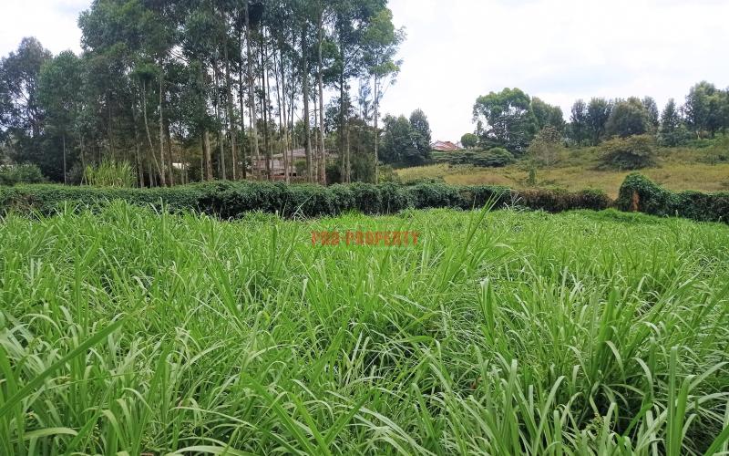 Prime Quarter Acre Plot for Sale in Ngong Suburbs