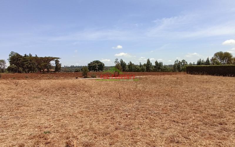 Very Prime Half Acre Land For Sale In Kikuyu, Ondiri (kiambu County)