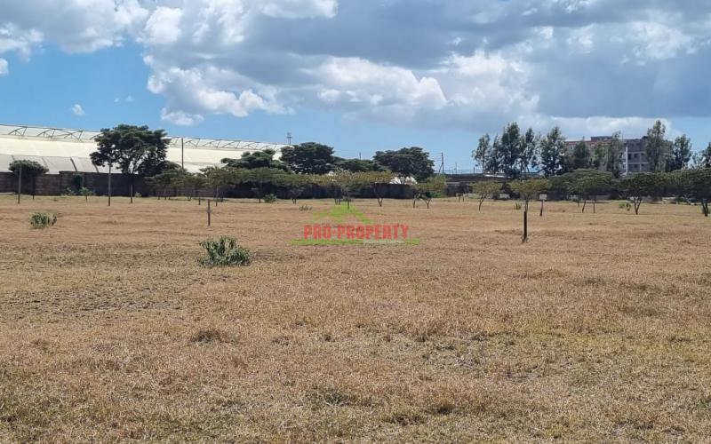 Gated Community Plots For Sale In Naivasha-moi South Lake Road.