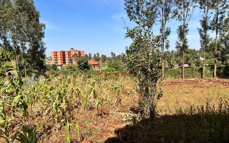 Prime 50 by 100fts Plot For Sale In Kikuyu, Thogoto.