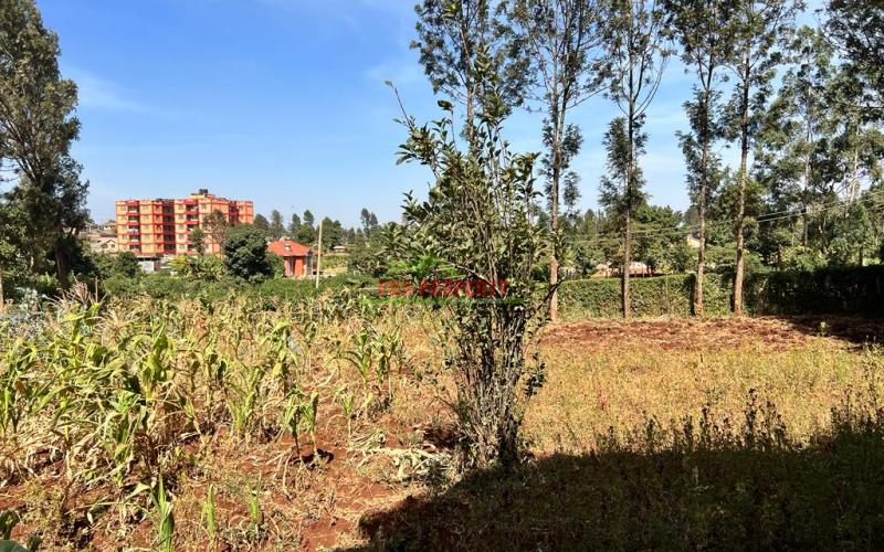 Prime 50 By 100fts Plot For Sale In Kikuyu, Thogoto.