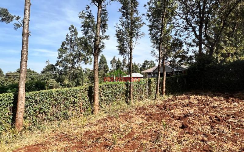 Prime 50 By 100fts Plot For Sale In Kikuyu, Thogoto.