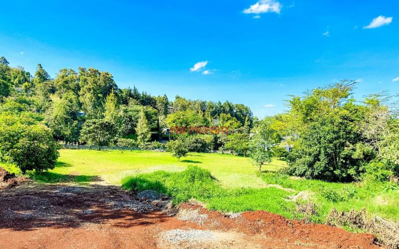 Prime 1/4 Acre Plots For Sale In Ngong (tulivu Estate)