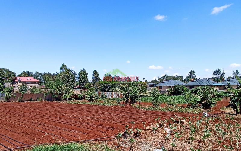Half Acre Land For Sale In Thogoto, Kikuyu