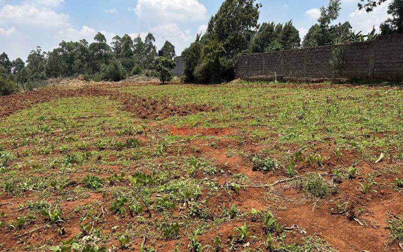Prime One Acre Land On Tarmac For Sale In Kikuyu ,gikambura.