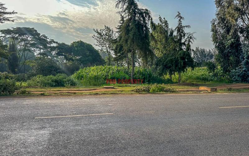 Half Acre Land For Sale On Tarmac In Limuru,mutarakwa