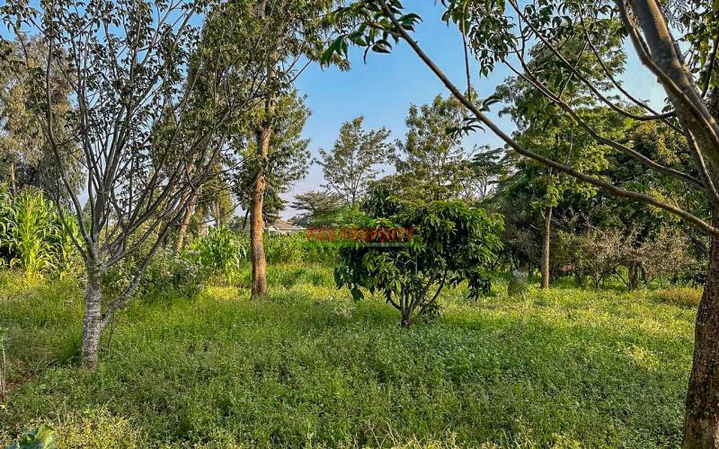Half Acre Land For Sale On Tarmac In Limuru,mutarakwa