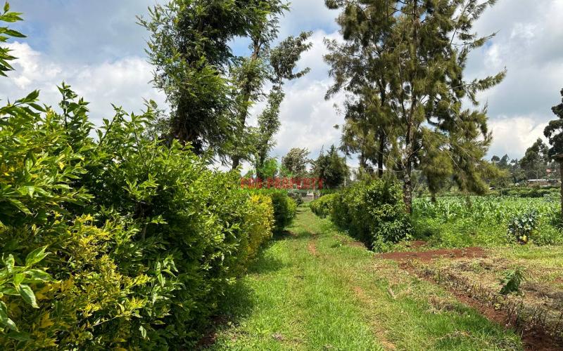 Prime Residential 1 Acre Land For Sale In Rironi Near Tilisi Estate.