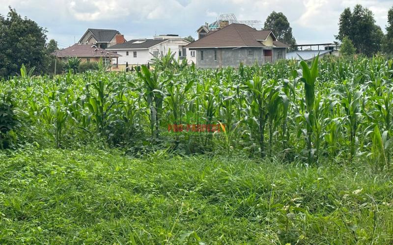 Prime Residential Plot For Sale in Kikuyu Near the Southern Bypass.