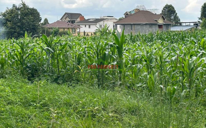 Prime Residential Plot For Sale In Kikuyu Near The Southern Bypass.