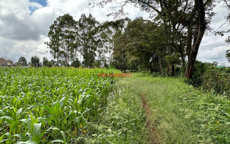Prime Residential Plot For Sale In Kikuyu Near The Southern Bypass.
