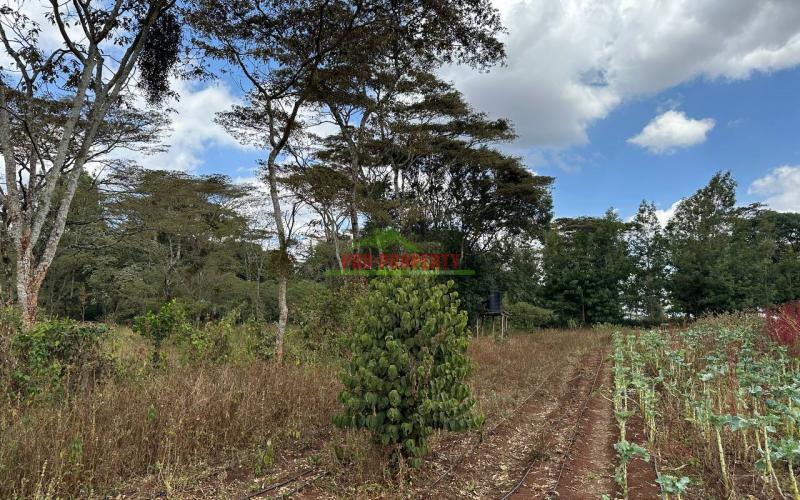 1 Acre Land For Lease In Kikuyu,ondiri