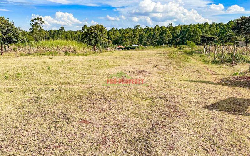 Half Acre Land For Sale In Kikuyu Thogoto.