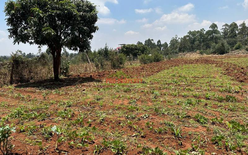 Prime One Acre Land On Tarmac For Sale In Kikuyu ,gikambura.