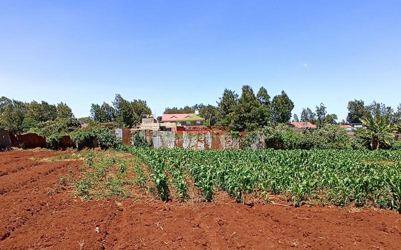 1 Acre Land For Sale In Kikuyu, Thogoto