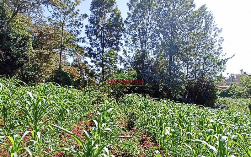 Commercial Plot For Sale In Thogoto, Near Thogoto Teachers College