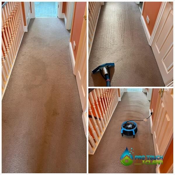 Professional-Carpet-cleaners-in-Windsor.jpg