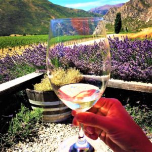 Appellation Wine Tours wine tasting glass lavender 300x300