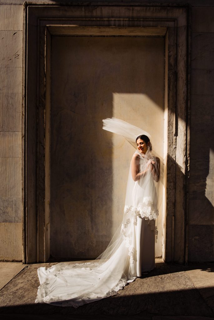 the bridal portrait showcasing her veil