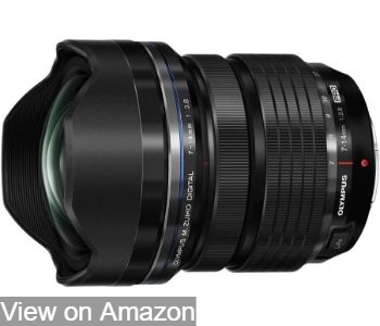 Best Olympus Lens for Bird Photography 2022 | Rated Recommendation (2)