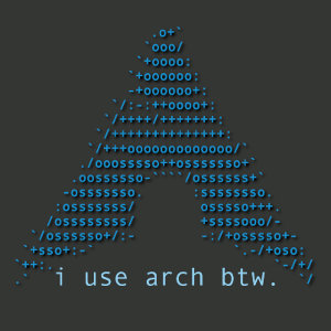 I use Arch BTW