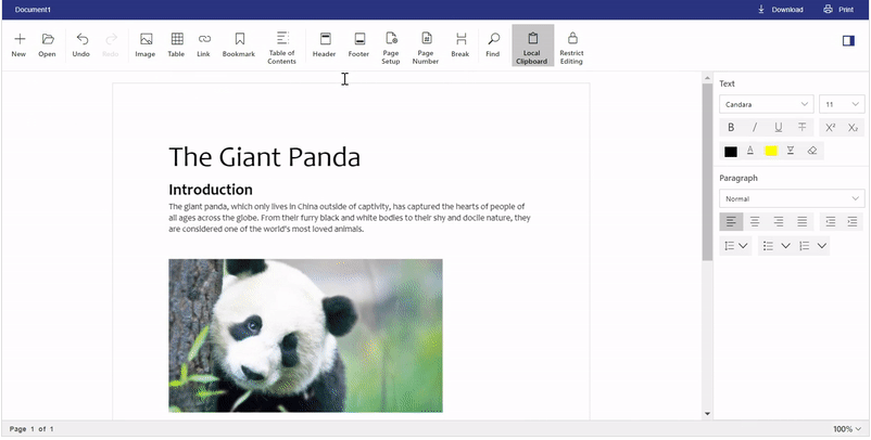 JavaScript Word Processor Control