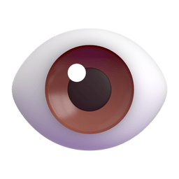 Eye