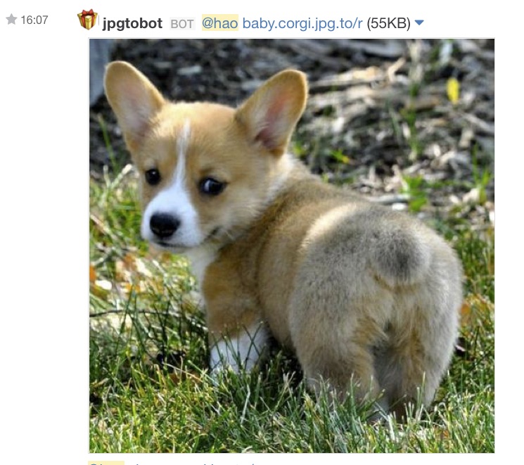 /jpgto Corgi