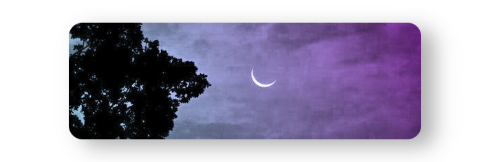Profile Banner