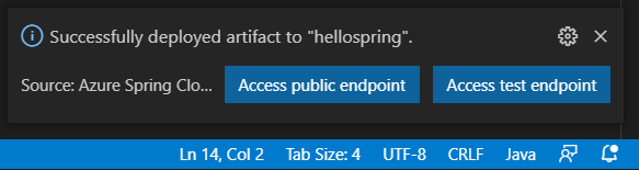 Access public endpoint