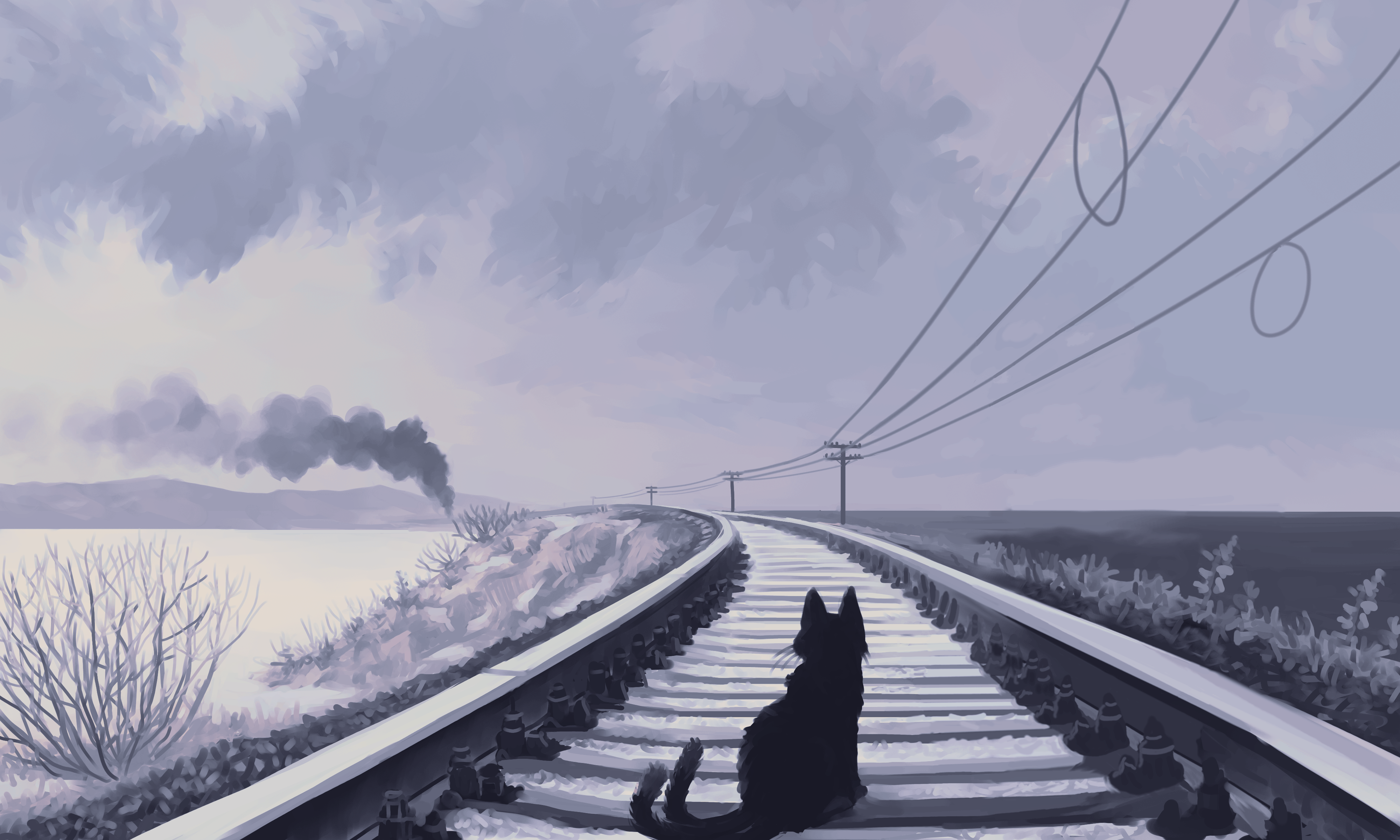 railroad-cat.png