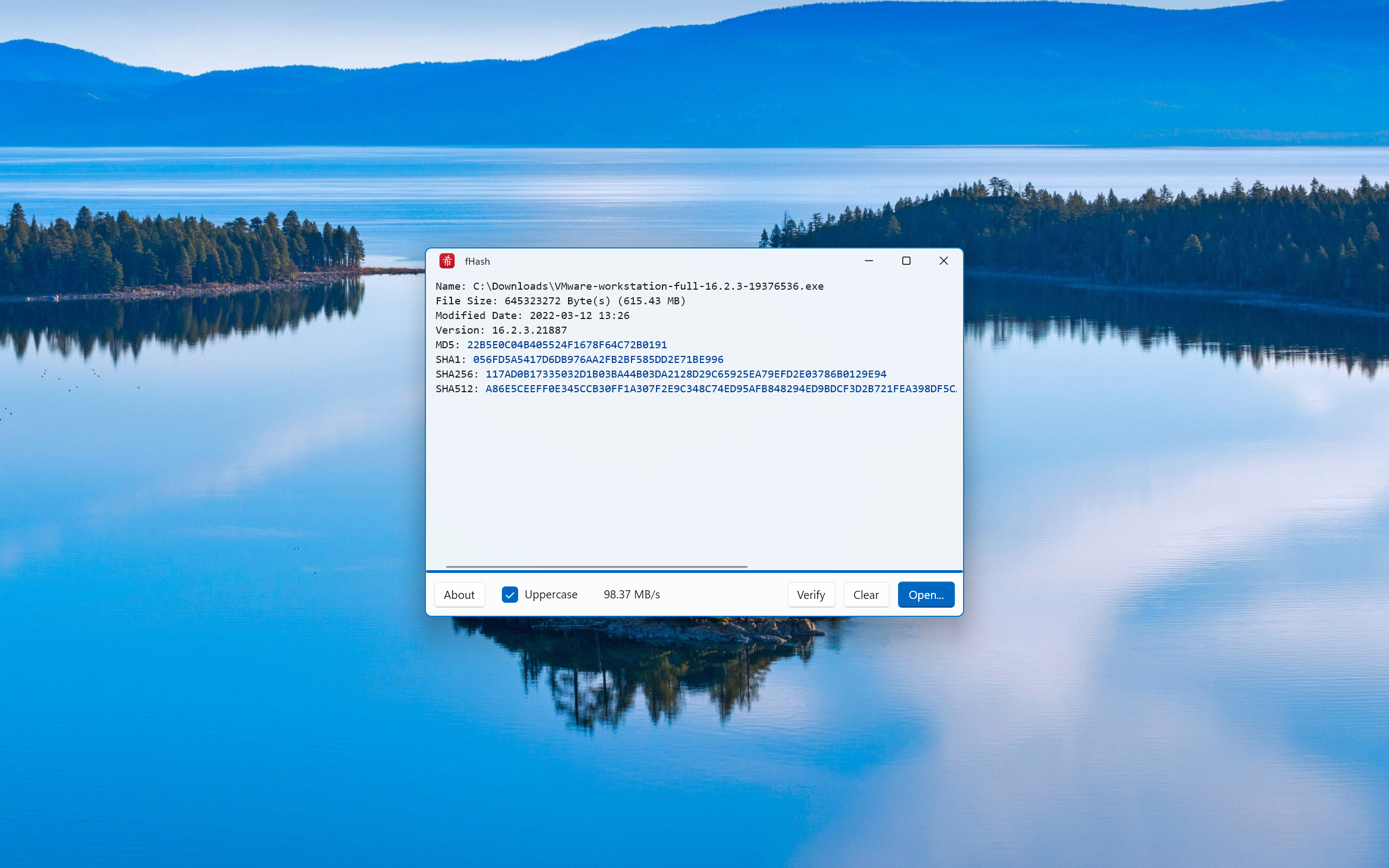 Image of hash result in light mode