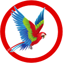 Macaw
