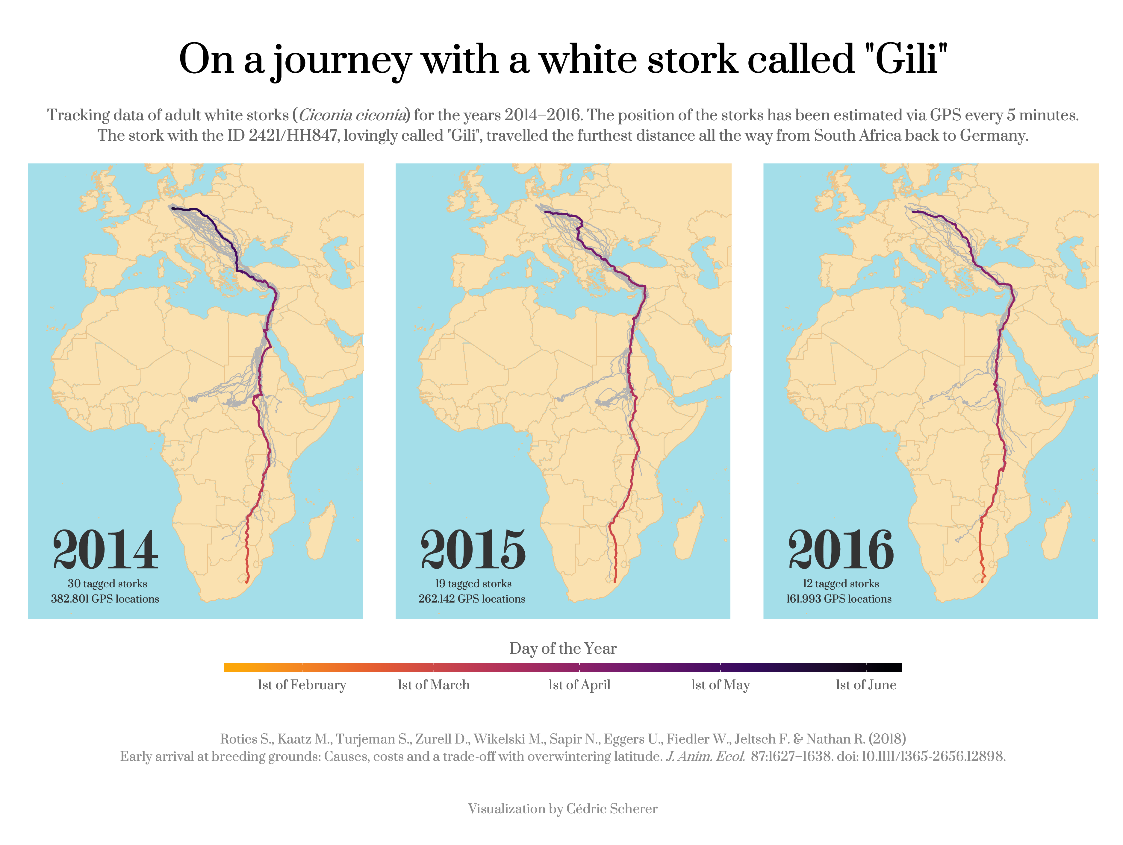 ./Day13_Tracks/Tracks_StorksGili.png