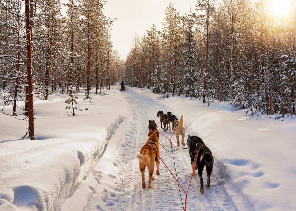 Rovaniemi in winter.